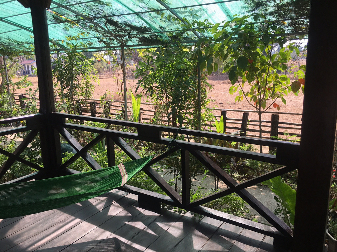 Chanhthida Guesthouse主图