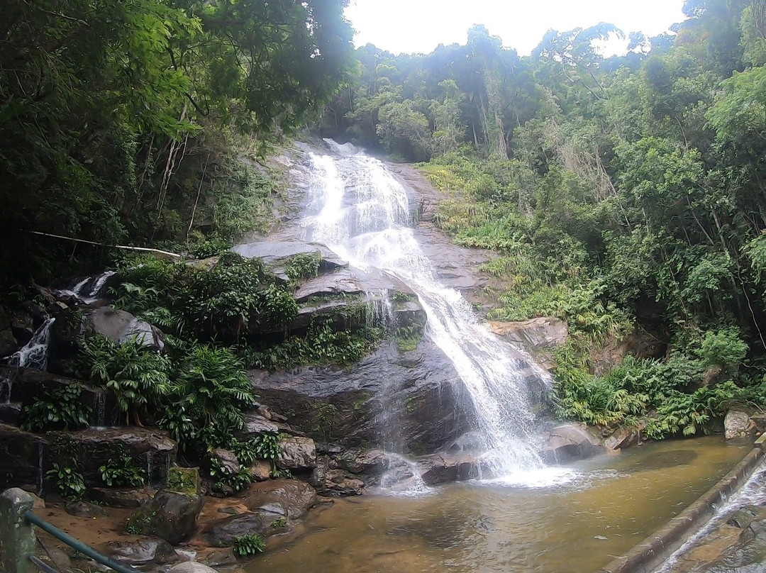 Parque Nacional da Tijuca景点图片
