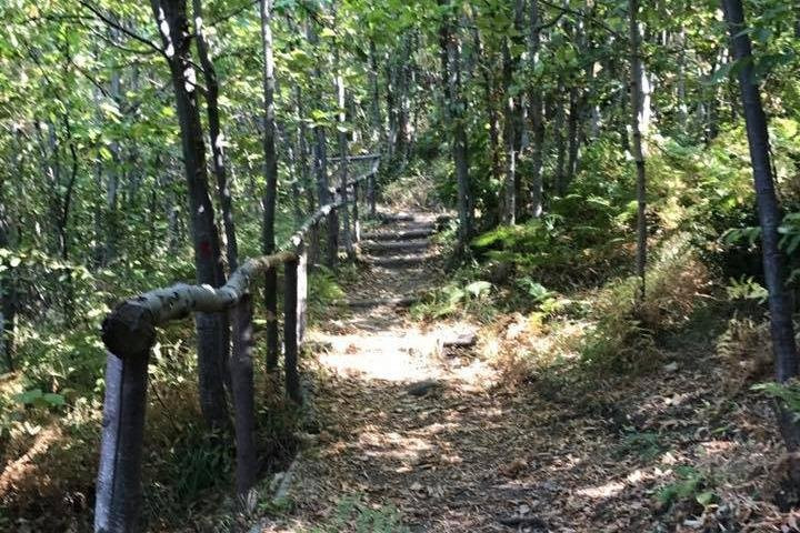 Italy Dream Tours-Lettere必去景点