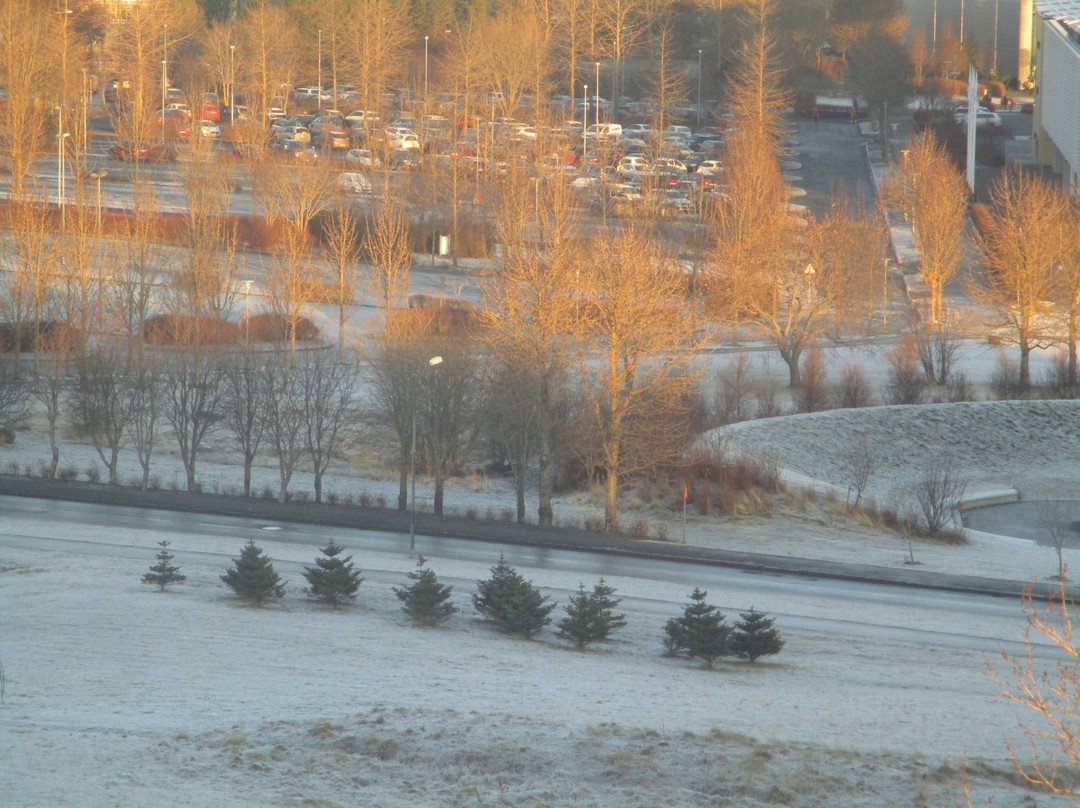 凯亚雷克雅未克灯光酒店主图