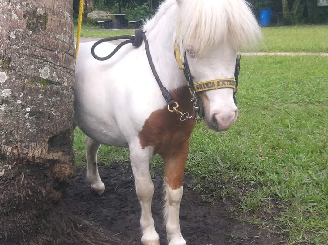 Granja Extrema主图