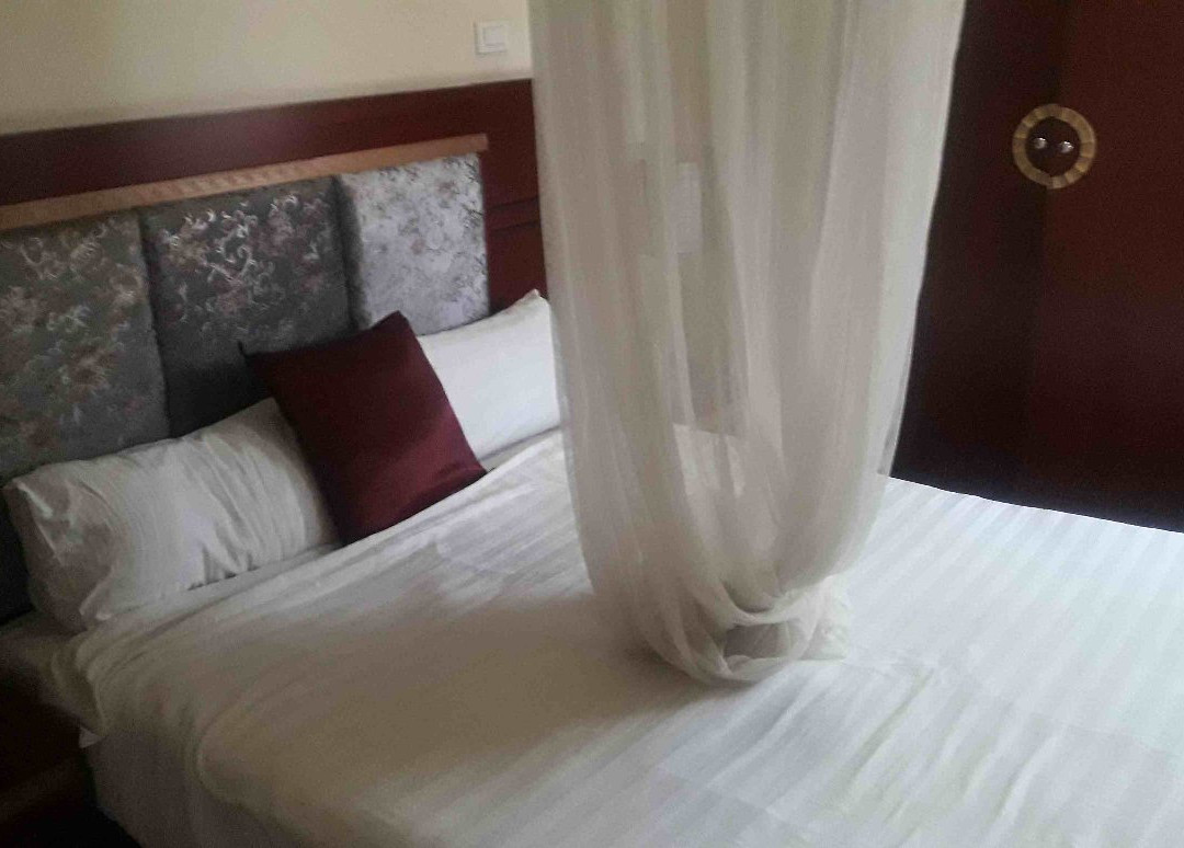 Palm Palace Hotel Bahirdar Ethiopia主图