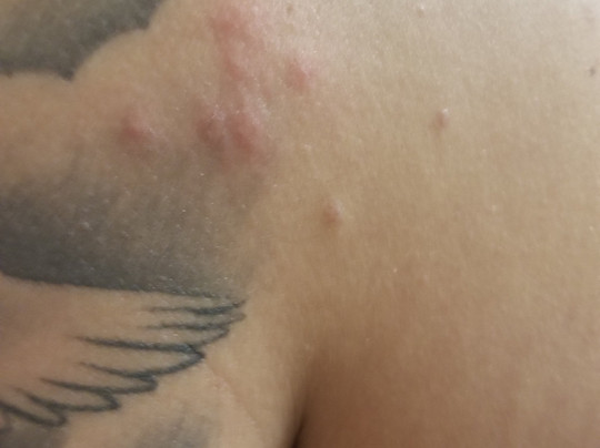 Econo Lodge Sioux Falls Empire Mall主图