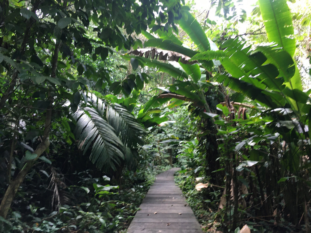 Sendero Cerro Tortuguero景点图片