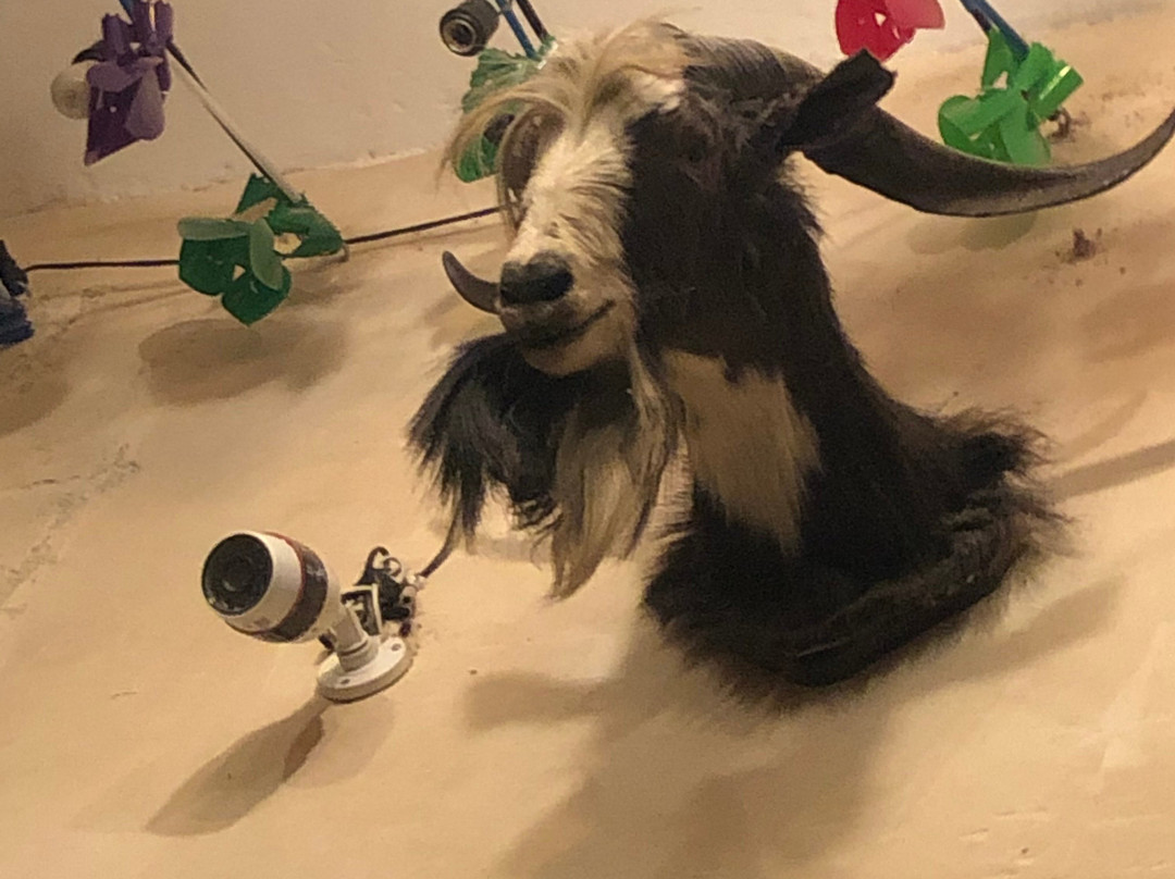 Mezcalogia-瓦哈卡必去景点