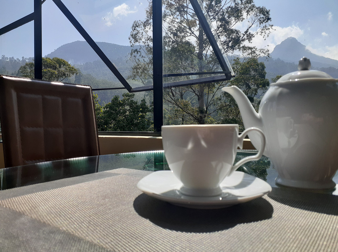 Slightly Chilled主图