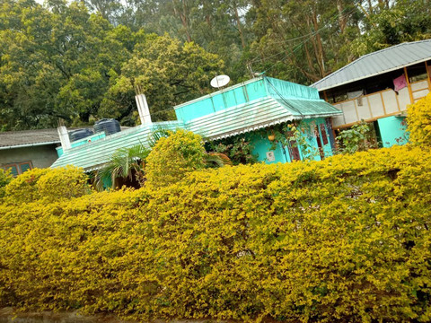 Pavithra Homestay主图