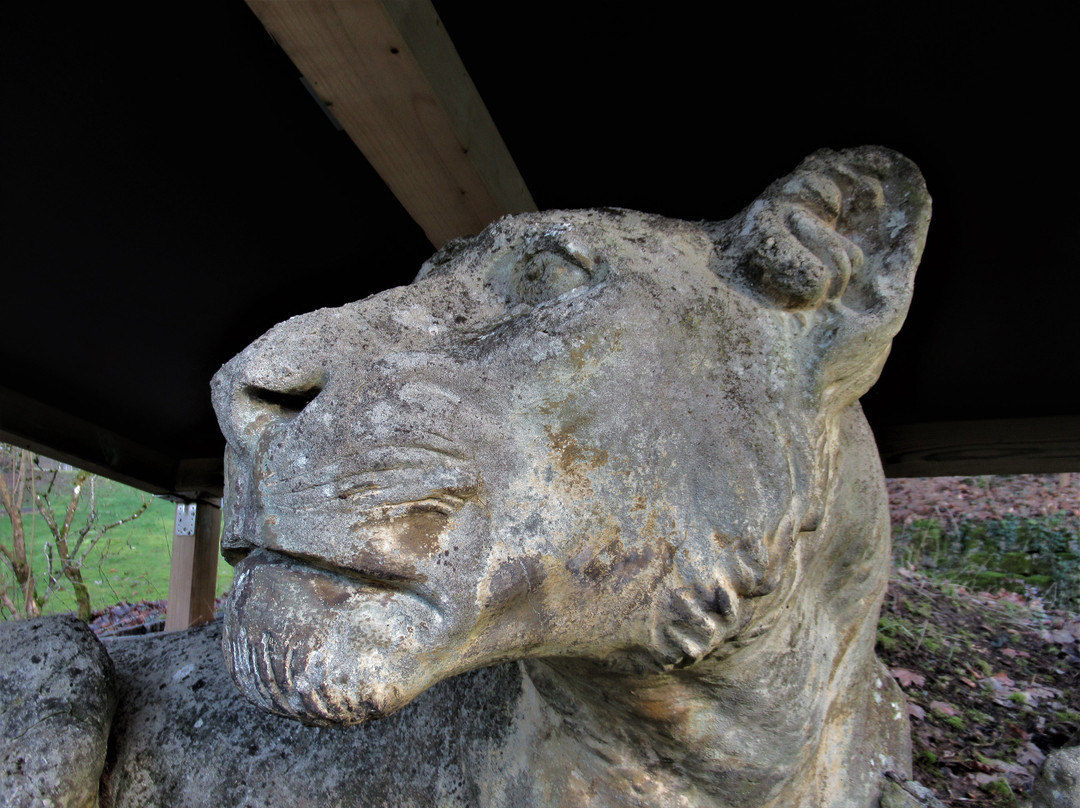 Lionne et lionceaux-Mondorf-les-Bains必去景点