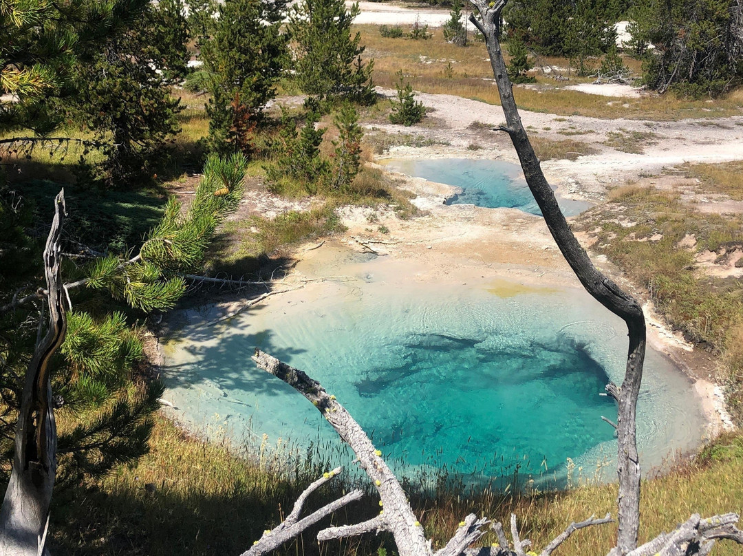 Yellowstone Adventure Tours景点图片