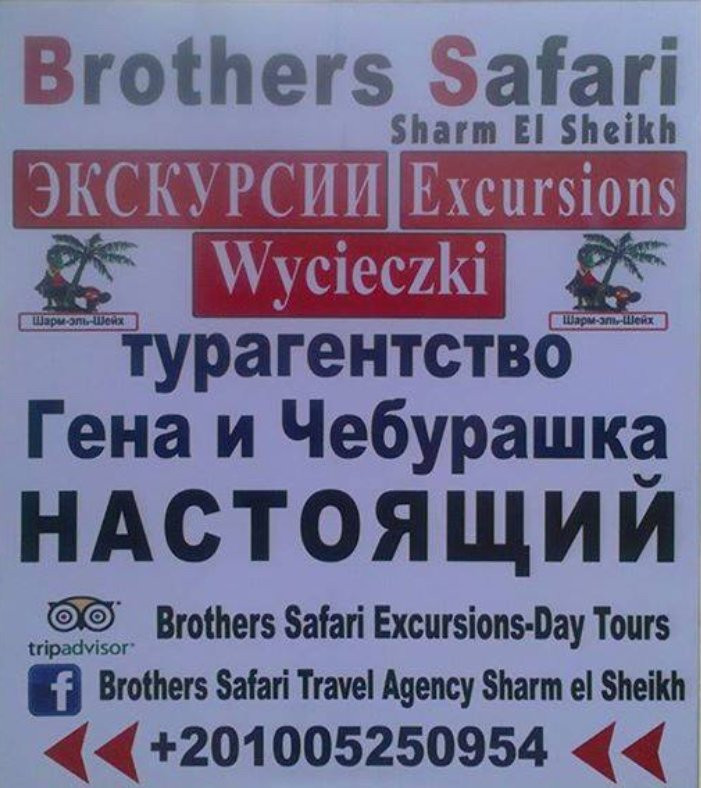 Brothers Safari Excursions-沙姆沙伊赫必去景点