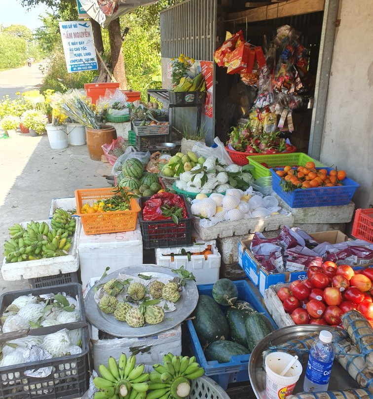 杰瑞丛林之旅-富国岛必去景点