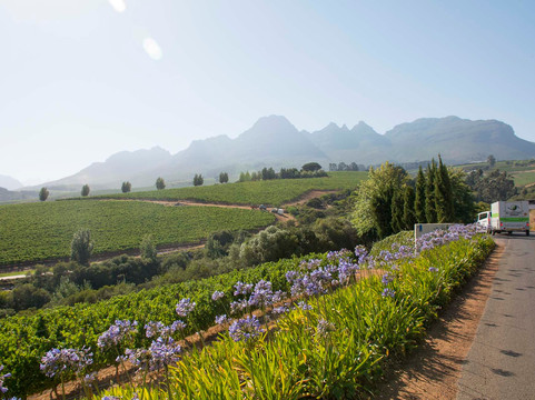 E-lectric Ventures-开普敦必去景点