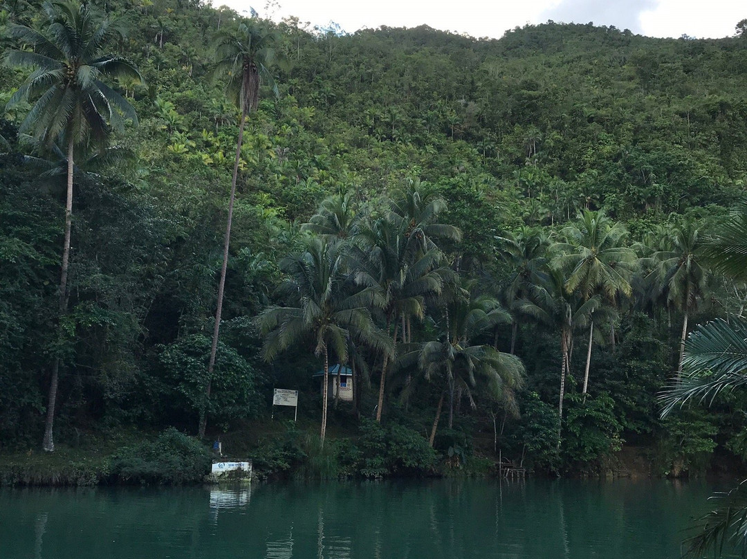 坚果木屋度假村主图