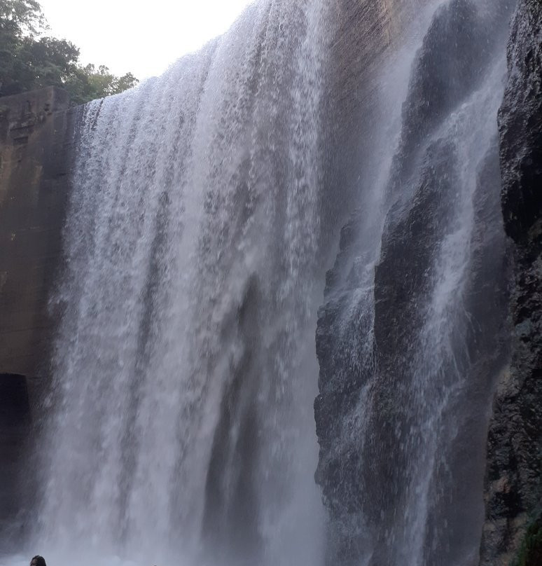 Reggae Falls-Hillside必去景点