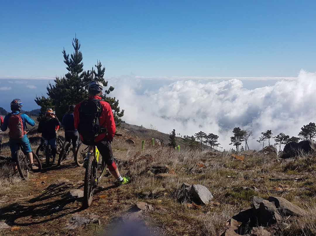 Freeride Mountain Biking Madeira Island-沙尔必去景点