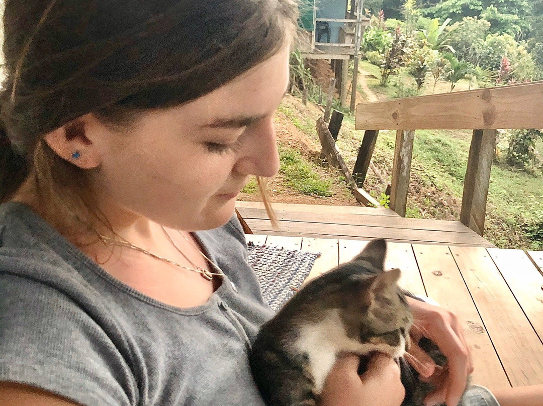 El Mirador Lodge主图