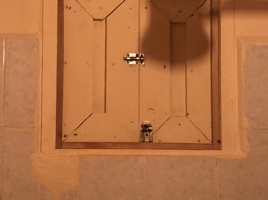 The Sea Monkey主图