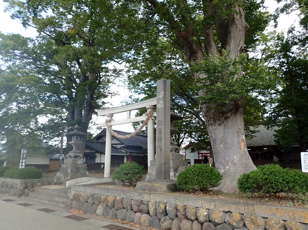 Shiratori Shrine-东御市必去景点