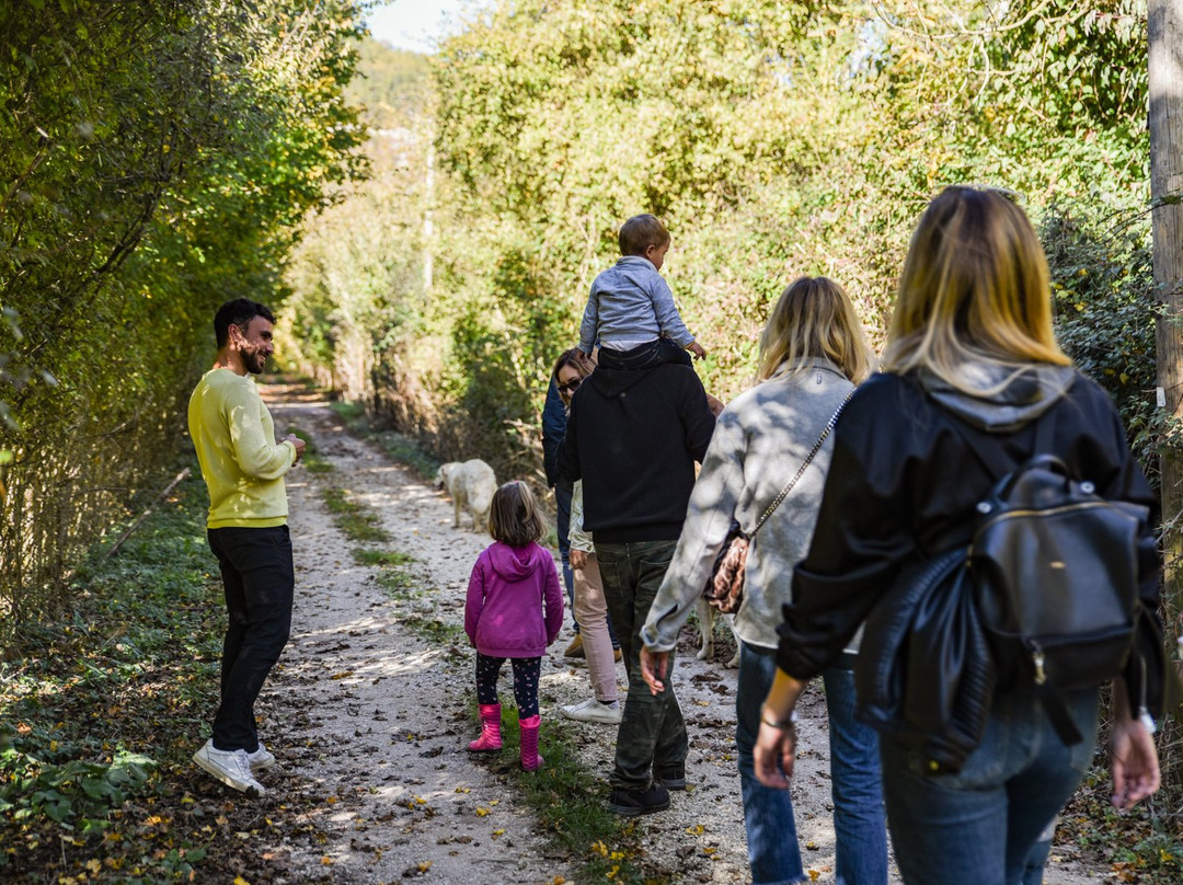 Agriturismo Le Due Querce主图