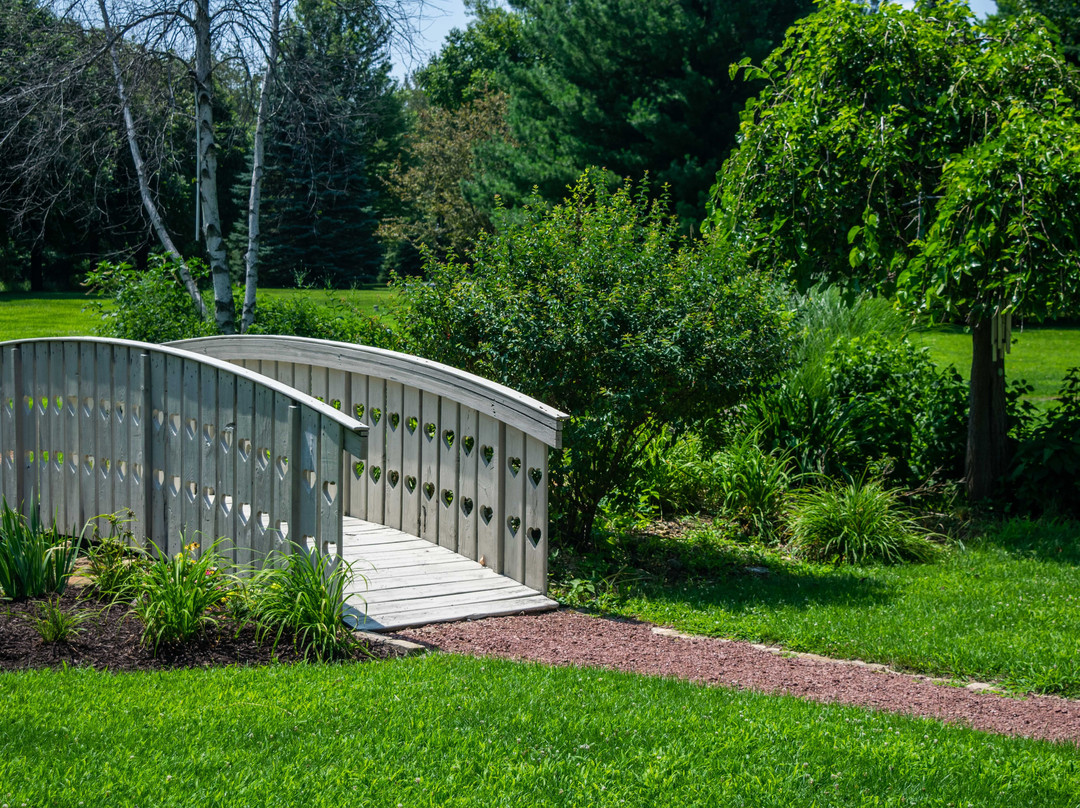 Lazy Cloud Lodge Bed and Breakfast主图