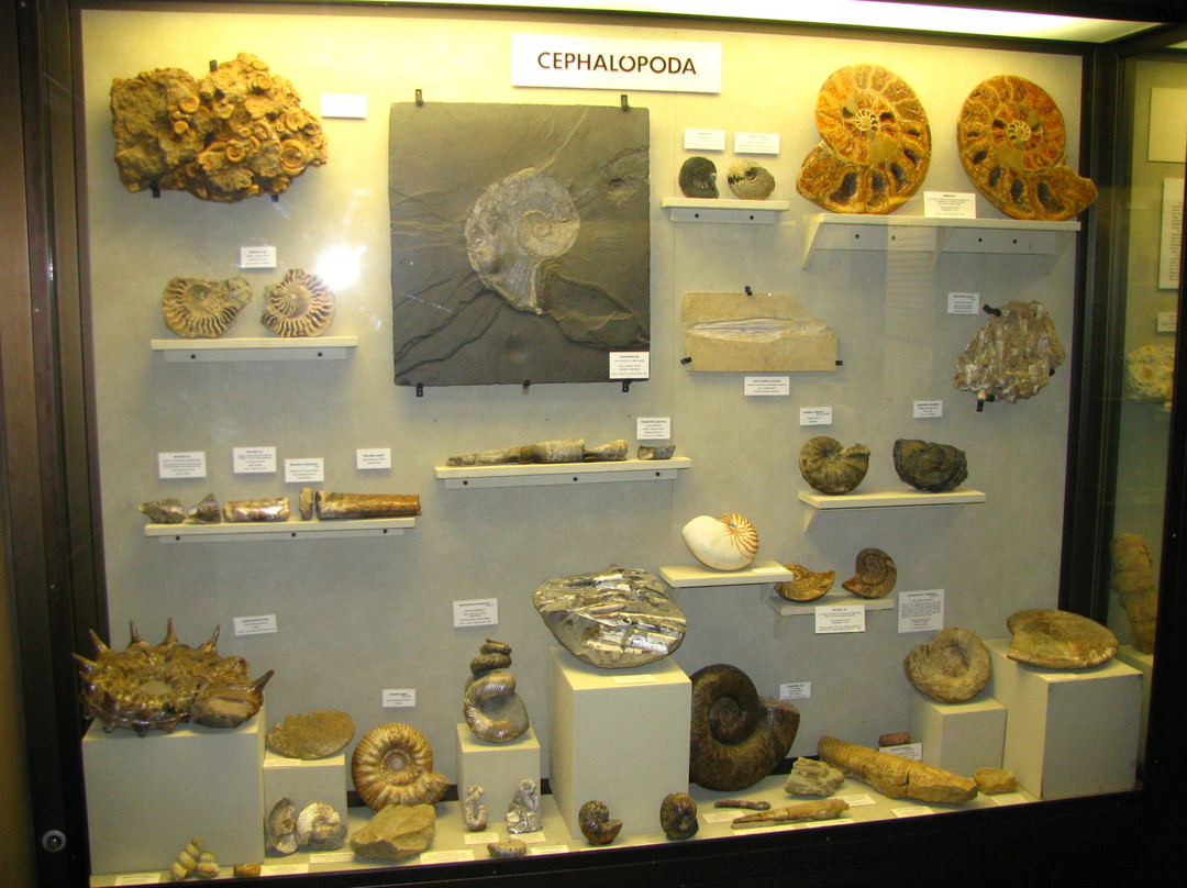 University of Wisconsin Geology Museum景点图片
