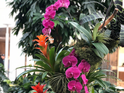 Oakridge Park-温哥华必去景点