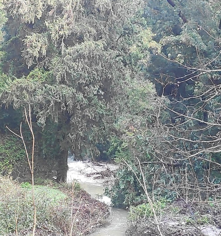 Nachal HaShofet - Shofet River-Ramot Menashe必去景点