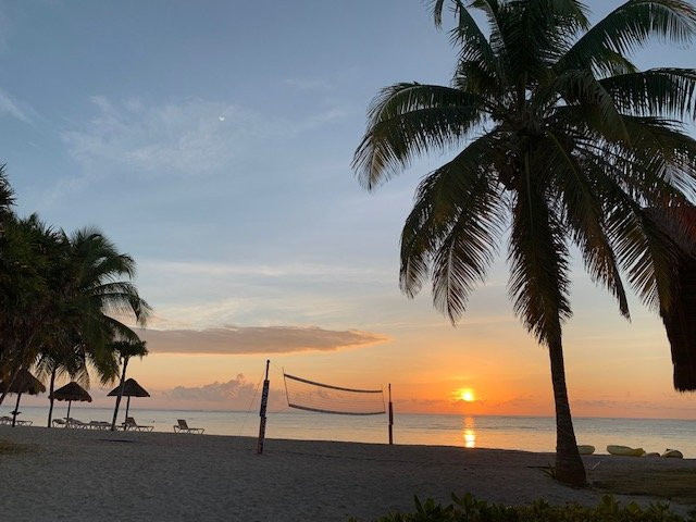 PavoReal Beach Resort Tulum主图