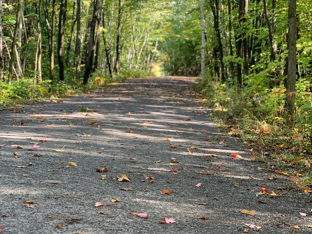 Parc-Nature du Lac Jérôme-Saint Jerome必去景点
