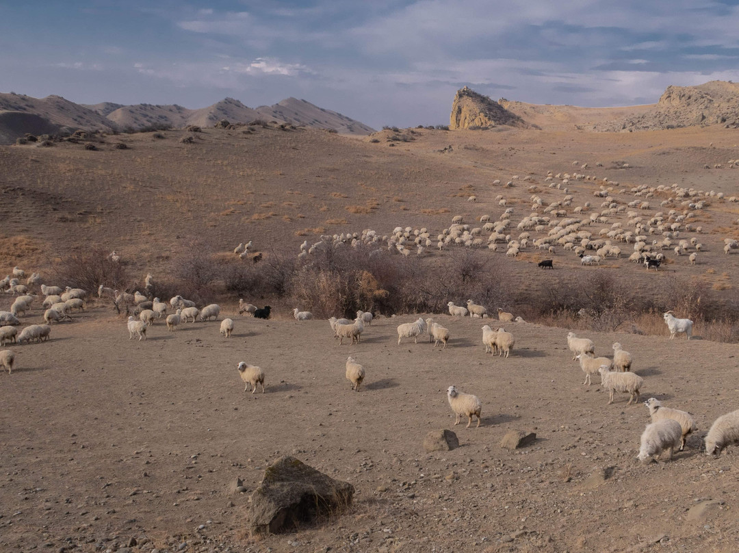 Spirit of Georgia-第比利斯必去景点