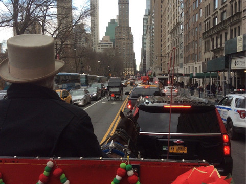 Central Park Carriage Rides - Official Booking  Site-纽约市必去景点