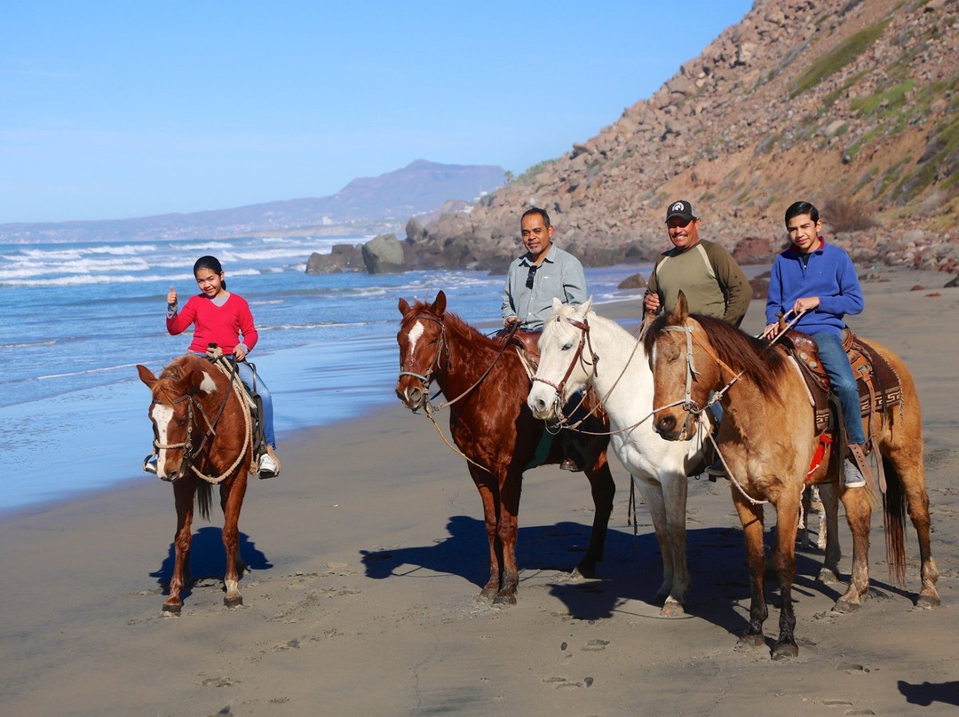 Horses by Jose-La Mision必去景点