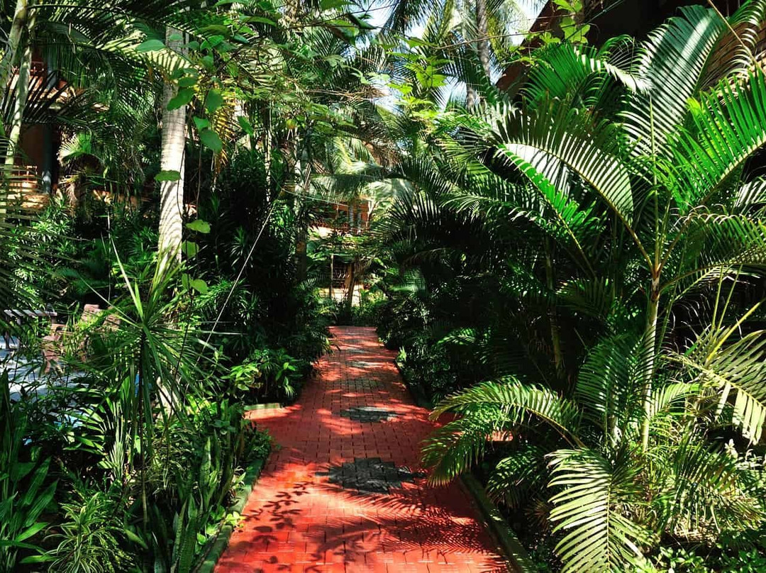 Wild Palms On Sea主图