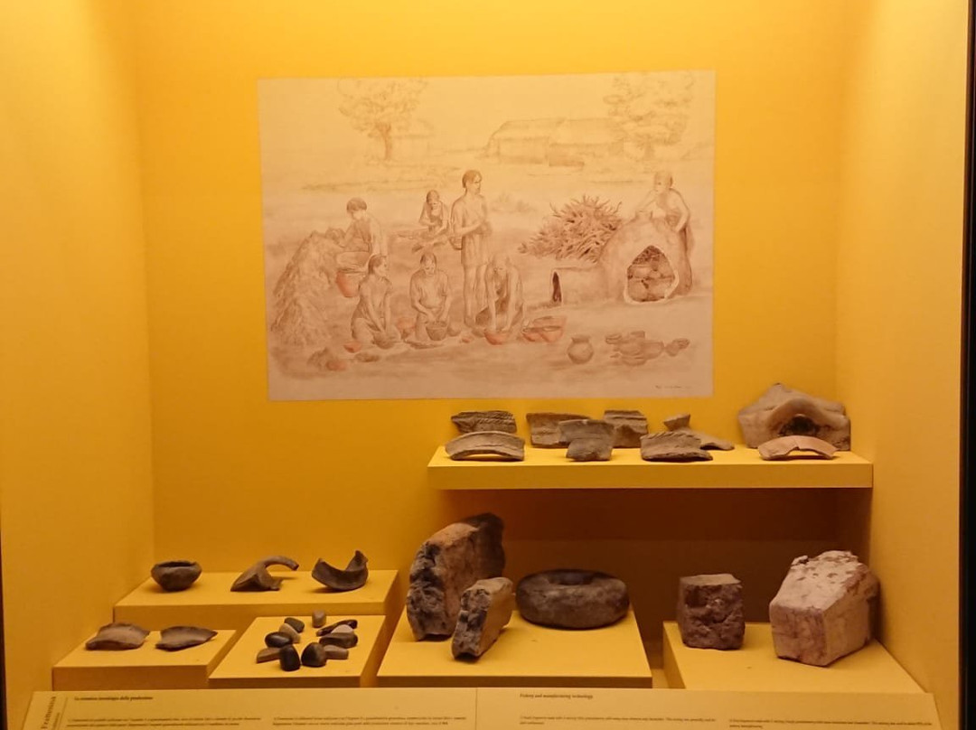 Museo Archeologico Nazionale di Fratta Polesine-Fratta Polesine必去景点