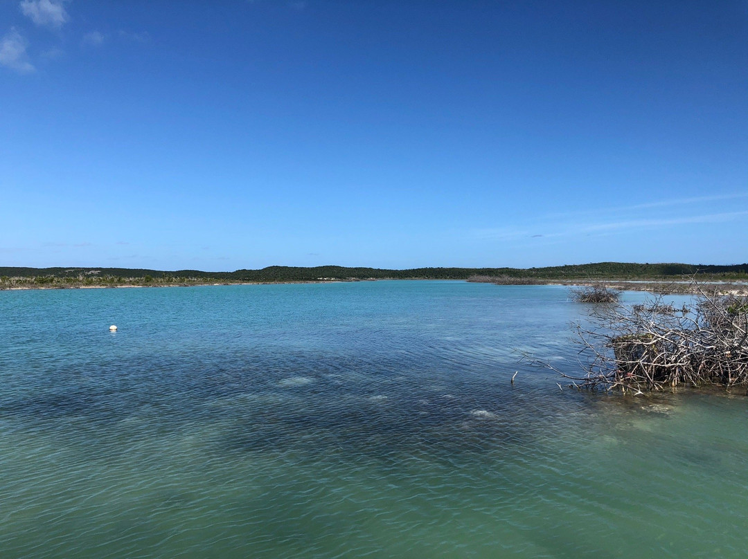 Casuarina Pine Villas主图