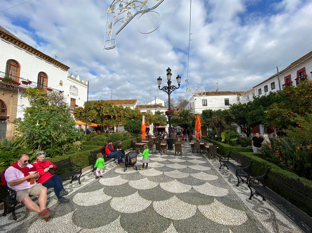 Plaza de Los Naranjos景点图片