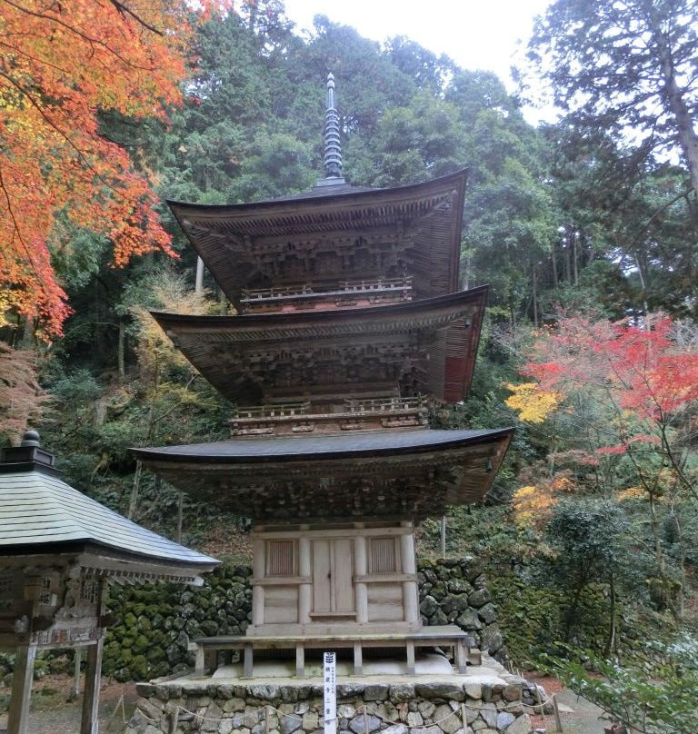 Yokokura-ji Temple Sanjunoto景点图片