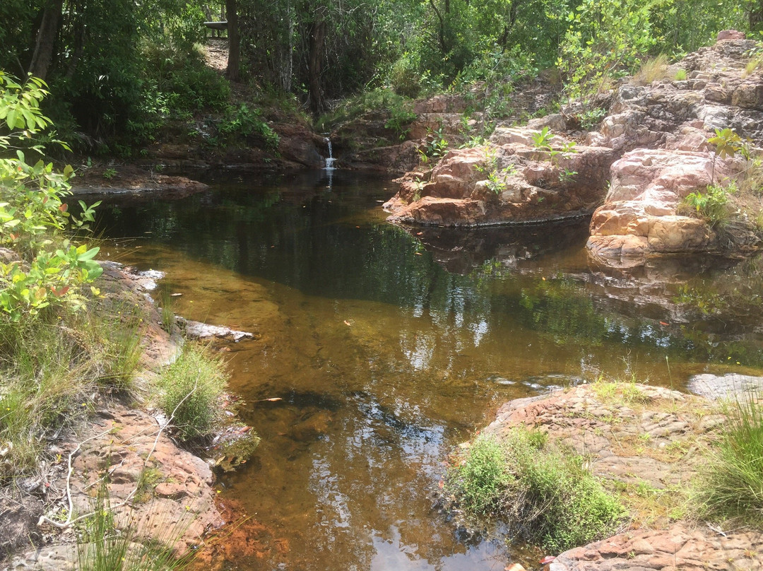 Walker Creek-Litchfield National Park必去景点