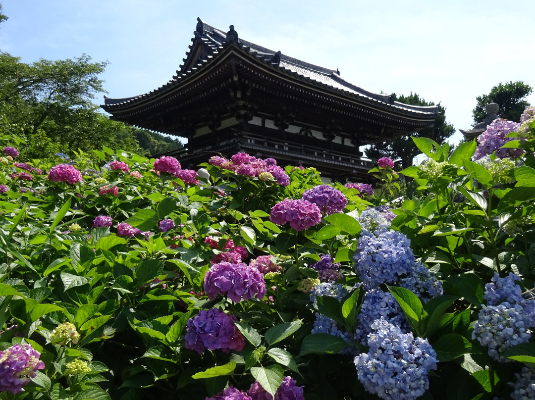 Kannonji Temple-福知山市必去景点