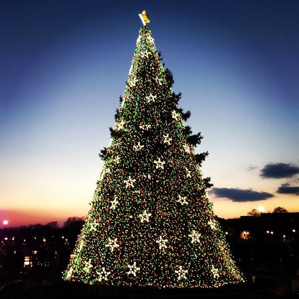 National Christmas Tree景点图片