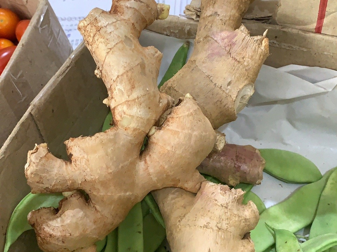 Rio de Hudson-Berazategui必去景点