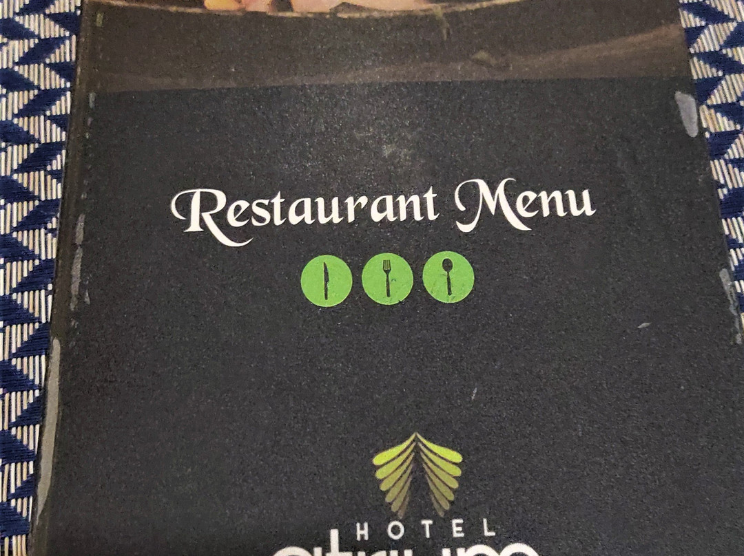 Hotel Atrium主图