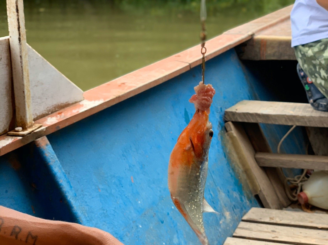 Laguna Yarinacocha-Pucallpa必去景点