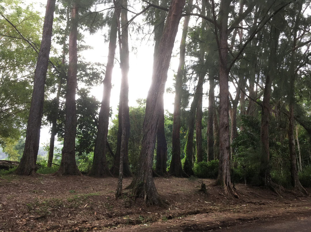 Lycée Agricole Opunohu-莫雷阿岛必去景点