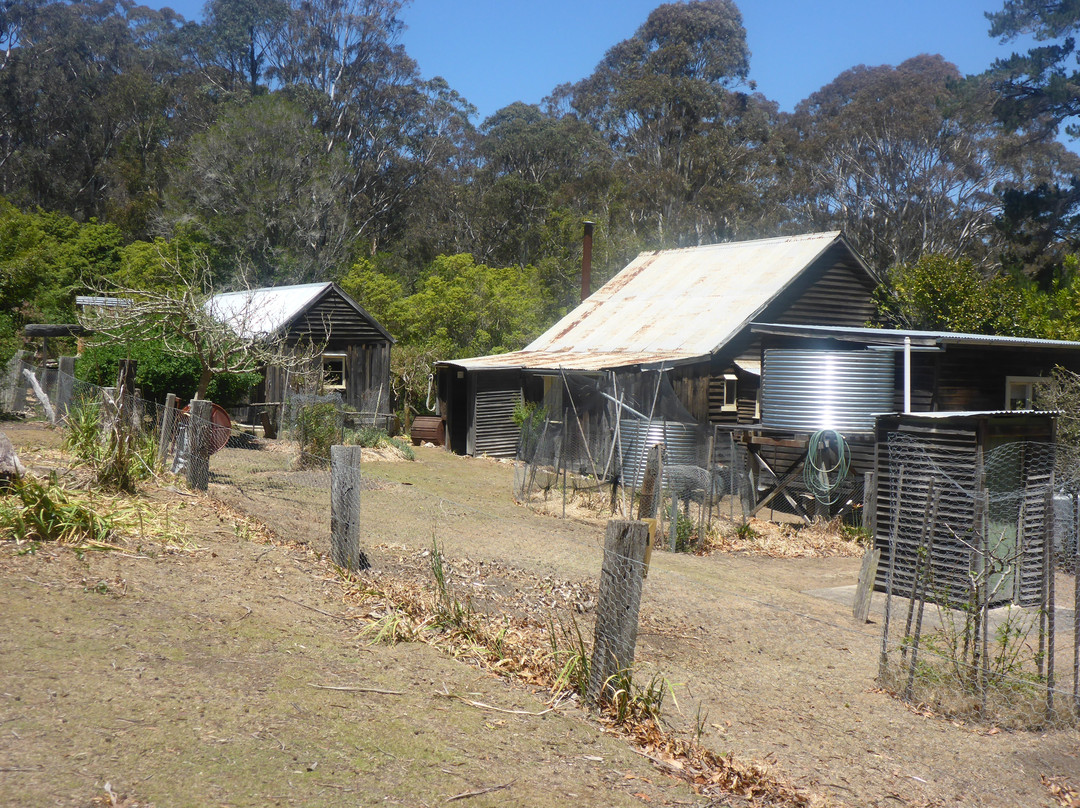 Davidson Whaling Station-伊登港必去景点