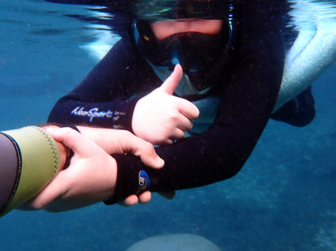 River Ventures-克里斯特尔里弗必去景点