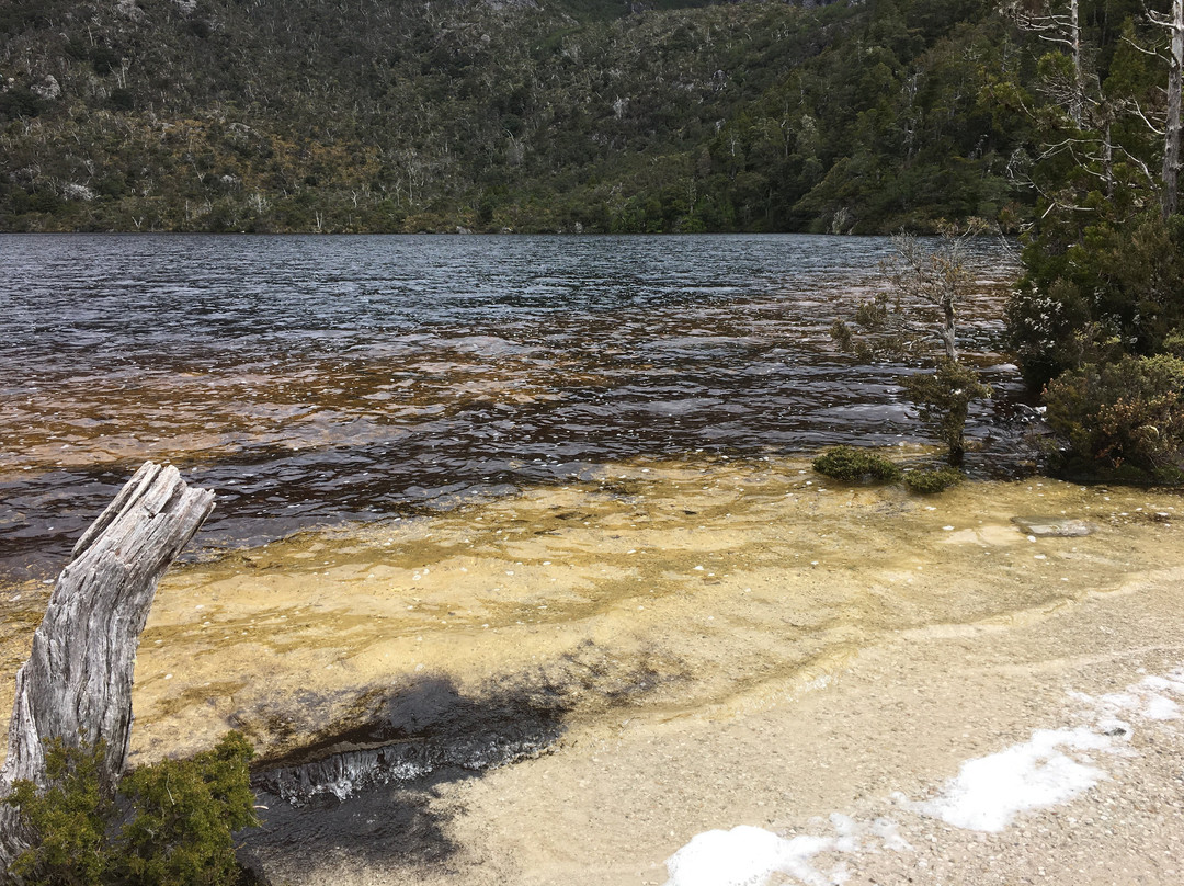 Cradle Mountain Visitor Centre景点图片