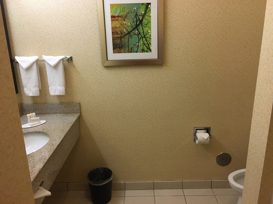 Fairfield by Marriott Inn & Suites Birmingham Fultondale/I-65主图