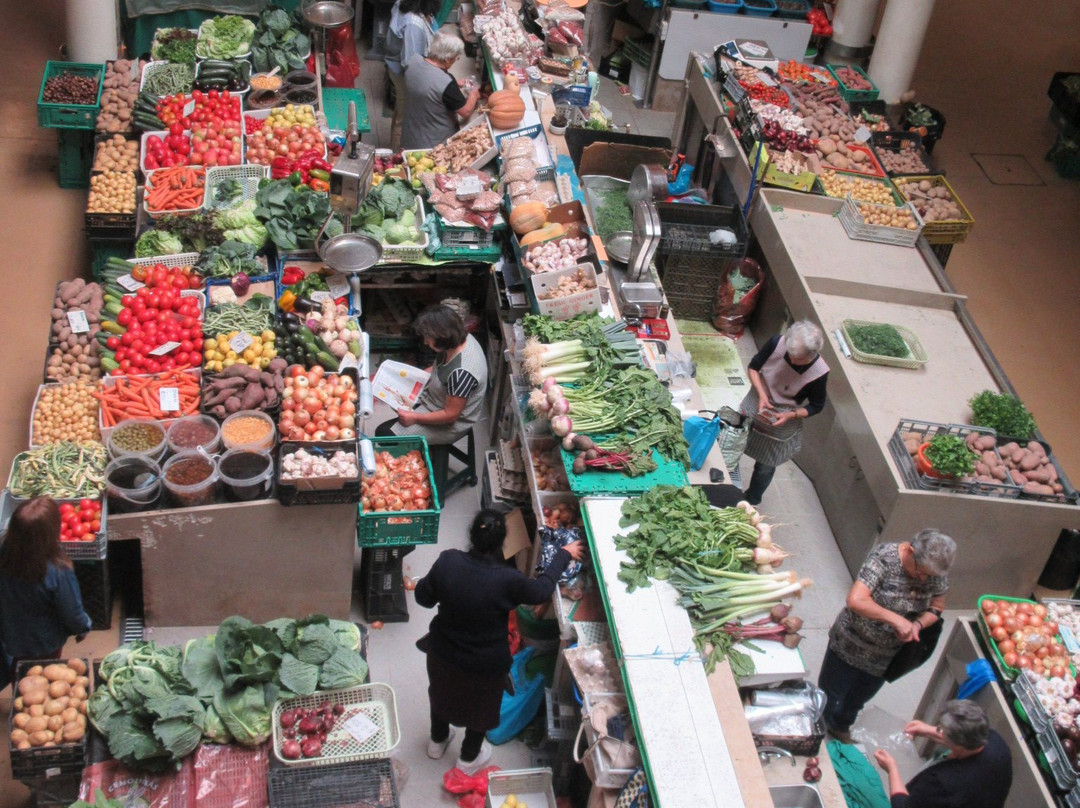 Mercado Municipal D. Pedro V-科英布拉区必去景点