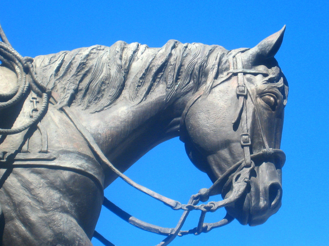 The Horseman - John Wayne Sculpture景点图片